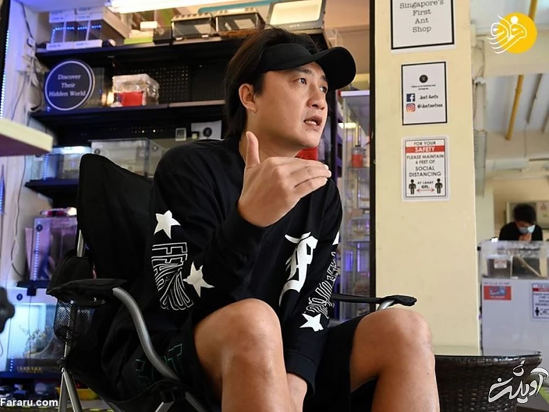 (تصاویر) فروشگاه مورچه فروشی!